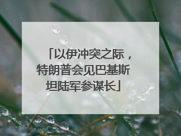 以伊冲突之际，特朗普会见巴基斯坦陆军参谋长