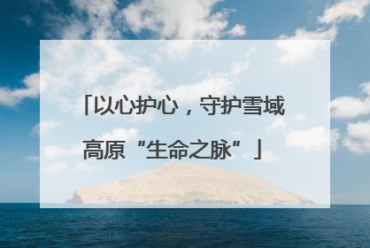 以心护心，守护雪域高原“生命之脉”