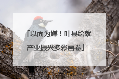 以面为媒！叶县绘就产业振兴多彩画卷