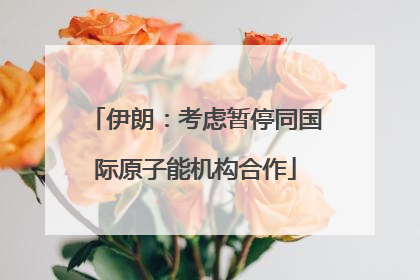 伊朗：考虑暂停同国际原子能机构合作