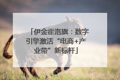 伊金霍洛旗：数字引擎激活“电商+产业带”新标杆