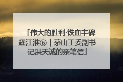 伟大的胜利·铁血丰碑耀江淮⑥｜茅山工委副书记洪天诚的亲笔信