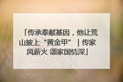 传承奉献基因，他让荒山披上“黄金甲”｜传家风薪火 颂家国情深