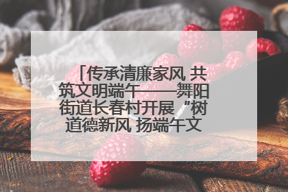 传承清廉家风 共筑文明端午——舞阳街道长春村开展“树道德新风 扬端午文化”主题活动