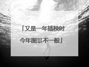 又是一年插秧时 今年图景不一般