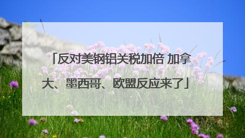 反对美钢铝关税加倍 加拿大、墨西哥、欧盟反应来了