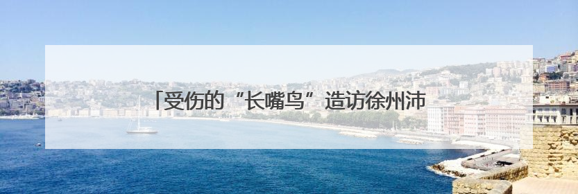 受伤的“长嘴鸟”造访徐州沛县！暖心救助守护自然精灵