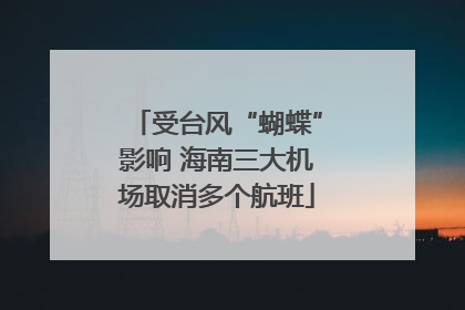 受台风“蝴蝶”影响 海南三大机场取消多个航班