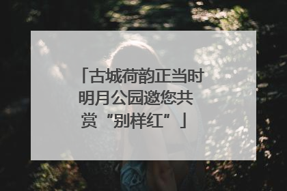 古城荷韵正当时 明月公园邀您共赏“别样红”