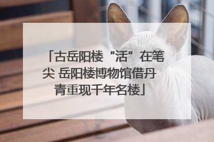 古岳阳楼“活”在笔尖 岳阳楼博物馆借丹青重现千年名楼
