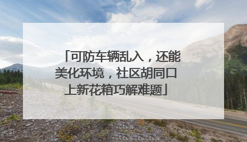 可防车辆乱入，还能美化环境，社区胡同口上新花箱巧解难题