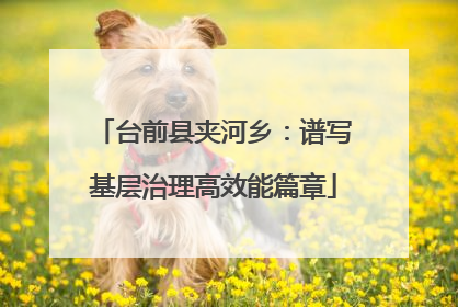 台前县夹河乡：谱写基层治理高效能篇章