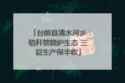 台前县清水河乡：秸秆禁烧护生态 三夏生产保丰收