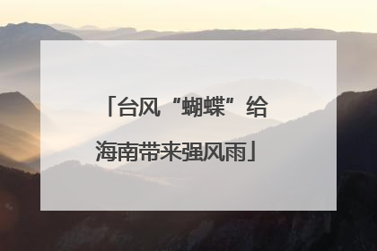 台风“蝴蝶”给海南带来强风雨