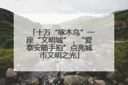 十万“啄木鸟”一座“文明城”，“爱泰安随手拍”点亮城市文明之光