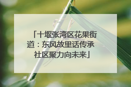 十堰张湾区花果街道：东风故里话传承 社区聚力向未来