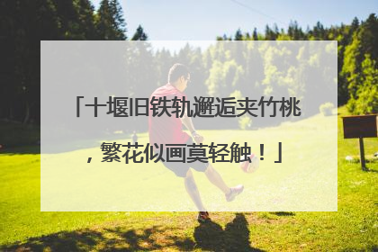 十堰旧铁轨邂逅夹竹桃，繁花似画莫轻触！