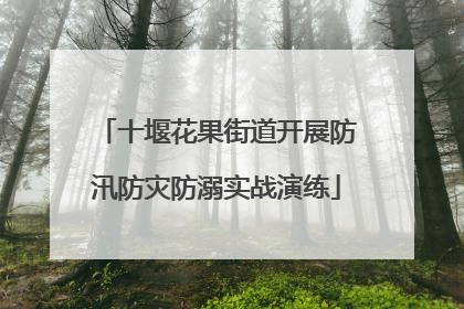 十堰花果街道开展防汛防灾防溺实战演练