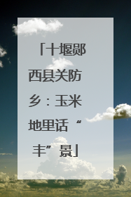 十堰郧西县关防乡：玉米地里话“丰”景