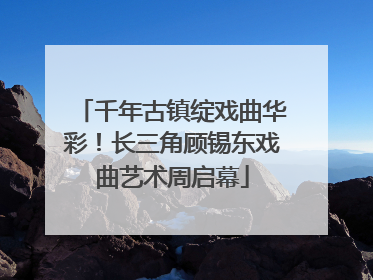 千年古镇绽戏曲华彩！长三角顾锡东戏曲艺术周启幕