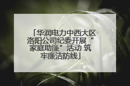 华润电力中西大区洛阳公司纪委开展“家庭助廉”活动 筑牢廉洁防线