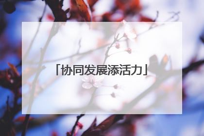 协同发展添活力