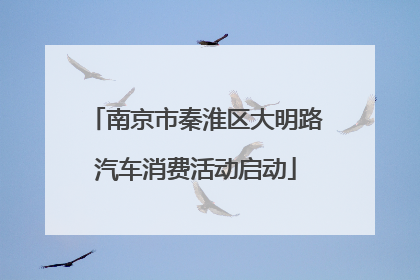 南京市秦淮区大明路汽车消费活动启动