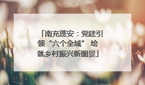 南充蓬安：党建引领“六个全域” 绘就乡村振兴新图景