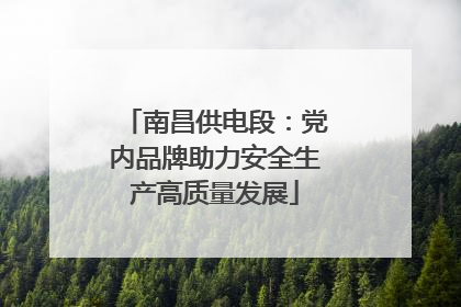 南昌供电段：党内品牌助力安全生产高质量发展