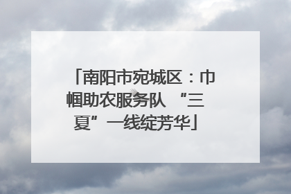 南阳市宛城区：巾帼助农服务队 “三夏”一线绽芳华
