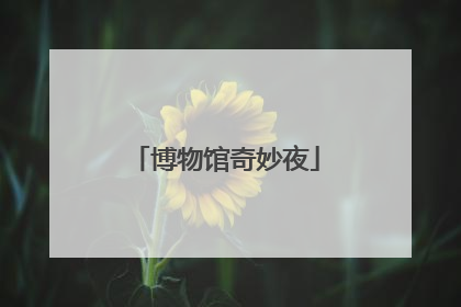 博物馆奇妙夜