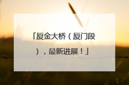 厦金大桥（厦门段），最新进展！