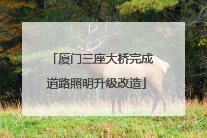厦门三座大桥完成道路照明升级改造