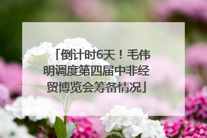 倒计时6天！毛伟明调度第四届中非经贸博览会筹备情况