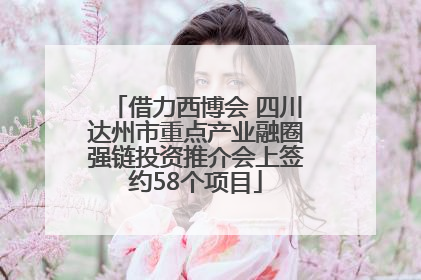 借力西博会 四川达州市重点产业融圈强链投资推介会上签约58个项目