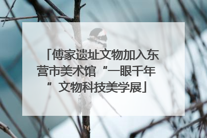 傅家遗址文物加入东营市美术馆“一眼千年”文物科技美学展