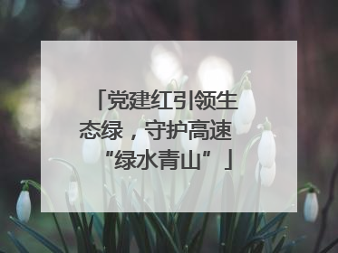 党建红引领生态绿，守护高速“绿水青山”