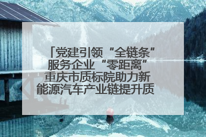 党建引领“全链条” 服务企业“零距离” 重庆市质标院助力新能源汽车产业链提升质量管理水平