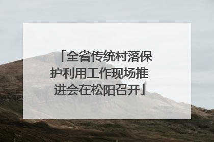 全省传统村落保护利用工作现场推进会在松阳召开