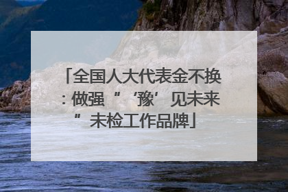 全国人大代表金不换：做强“‘豫’见未来”未检工作品牌