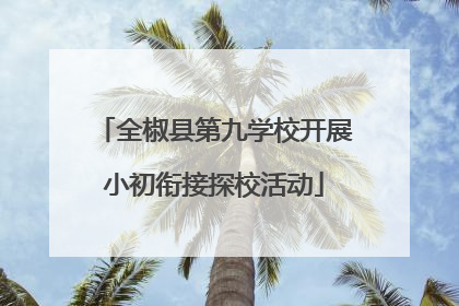全椒县第九学校开展小初衔接探校活动
