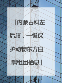 内蒙古科左后旗：一级保护动物东方白鹳组团栖息