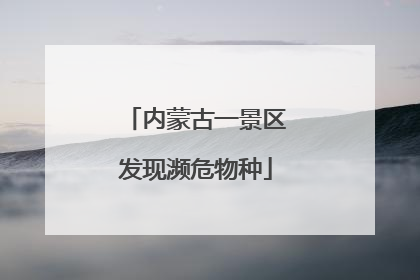 内蒙古一景区发现濒危物种