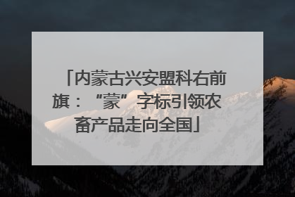 内蒙古兴安盟科右前旗：“蒙”字标引领农畜产品走向全国