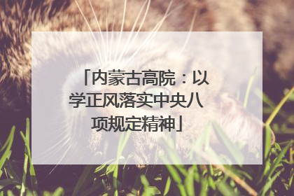 内蒙古高院：以学正风落实中央八项规定精神