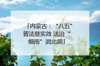 内蒙古：“八五”普法显实效 法治“细雨”润北疆