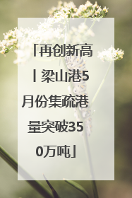 再创新高丨梁山港5月份集疏港量突破350万吨