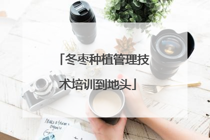 冬枣种植管理技术培训到地头