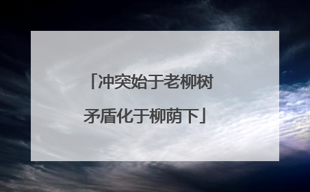 冲突始于老柳树 矛盾化于柳荫下