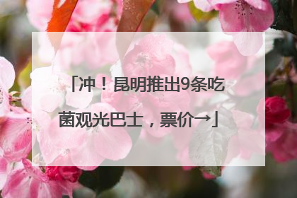 冲！昆明推出9条吃菌观光巴士，票价→